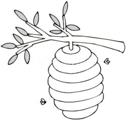 Honey Beehive Drawing Image