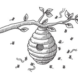 Honey Beehive Drawing Realistic Sketch