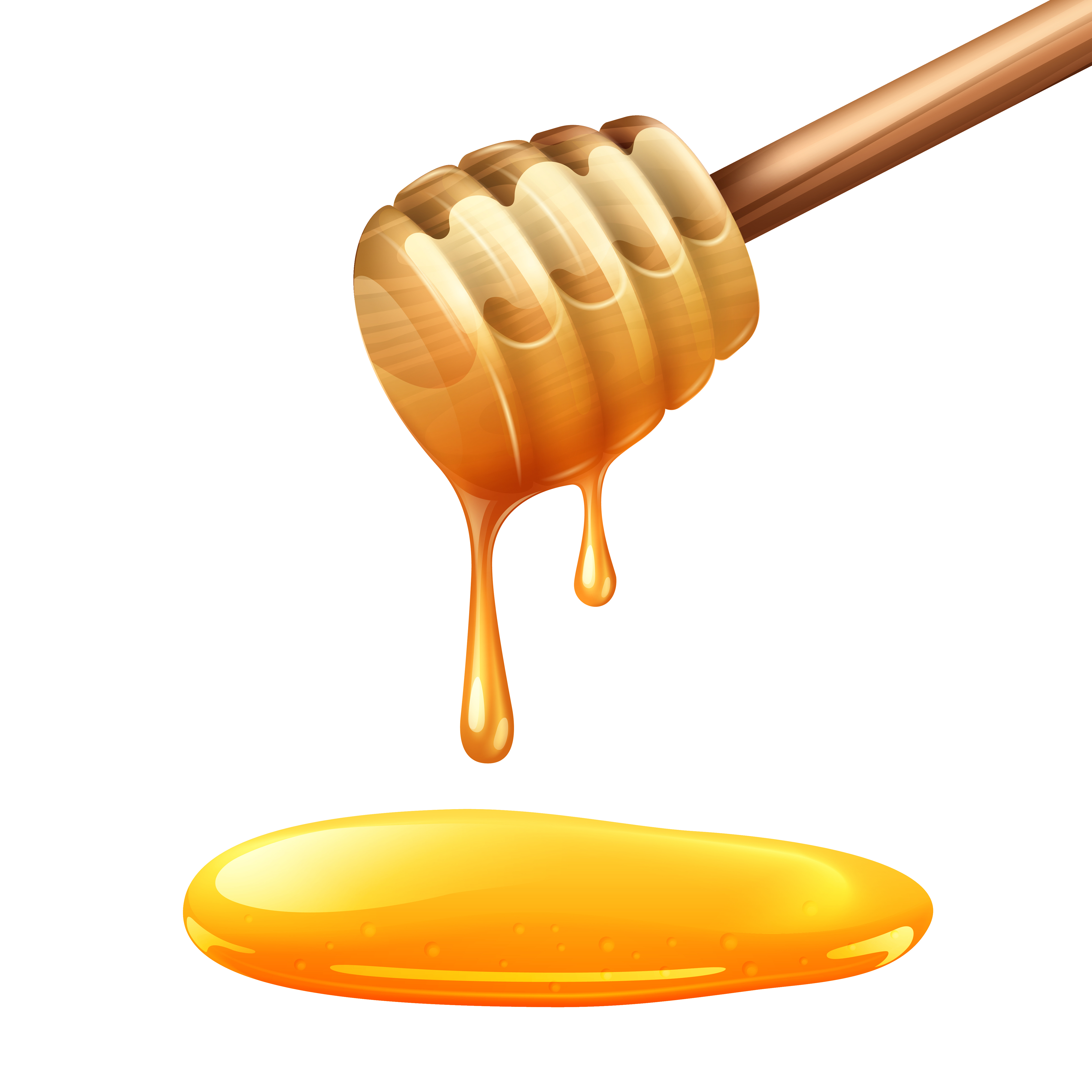How to Draw Honey Step by Step Guide Drawing All