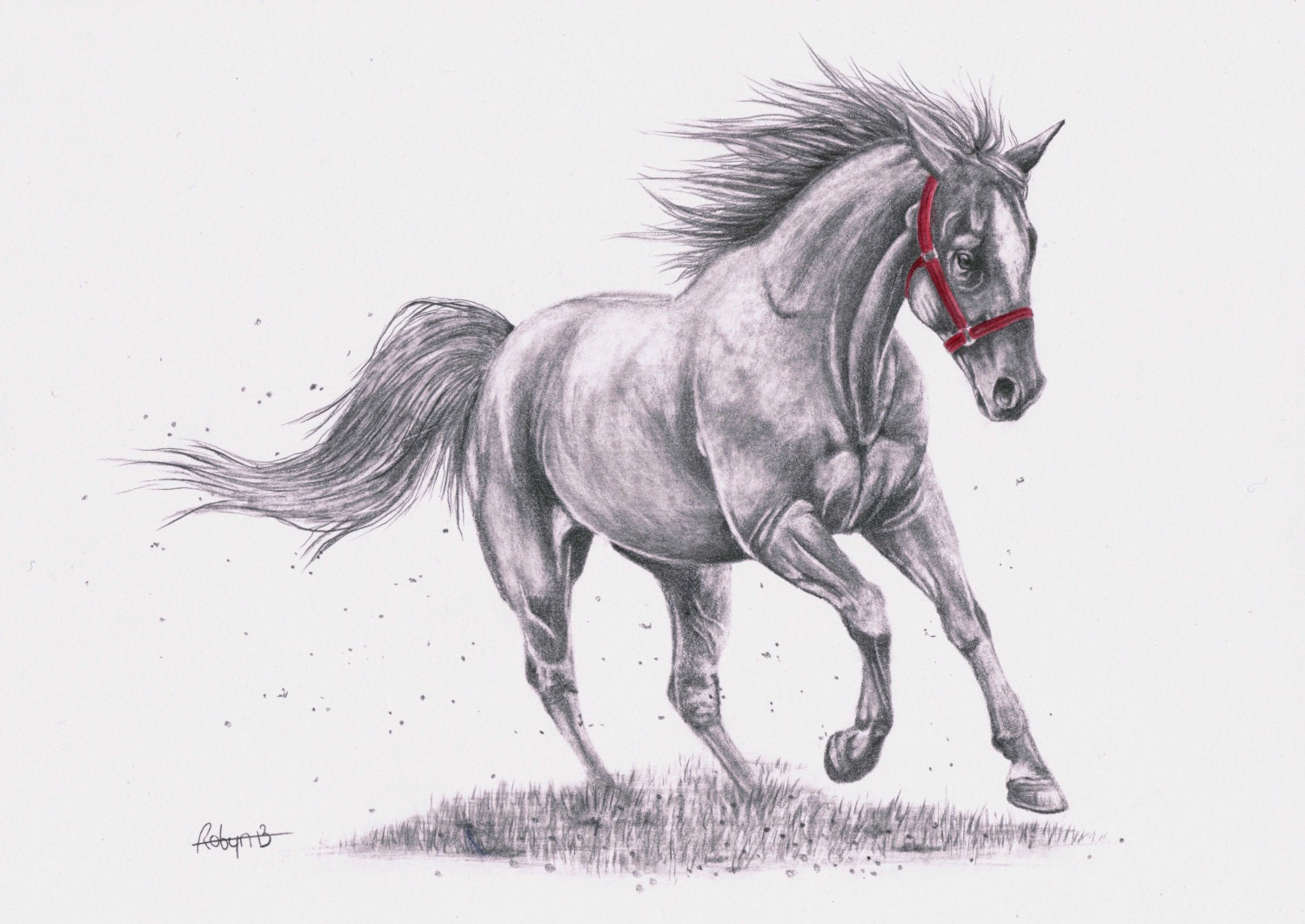 Horse Drawing Hand Drawn Sketch