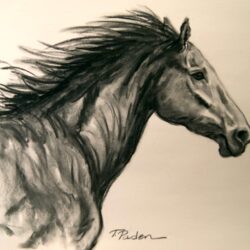 Horse Drawing Unique Art