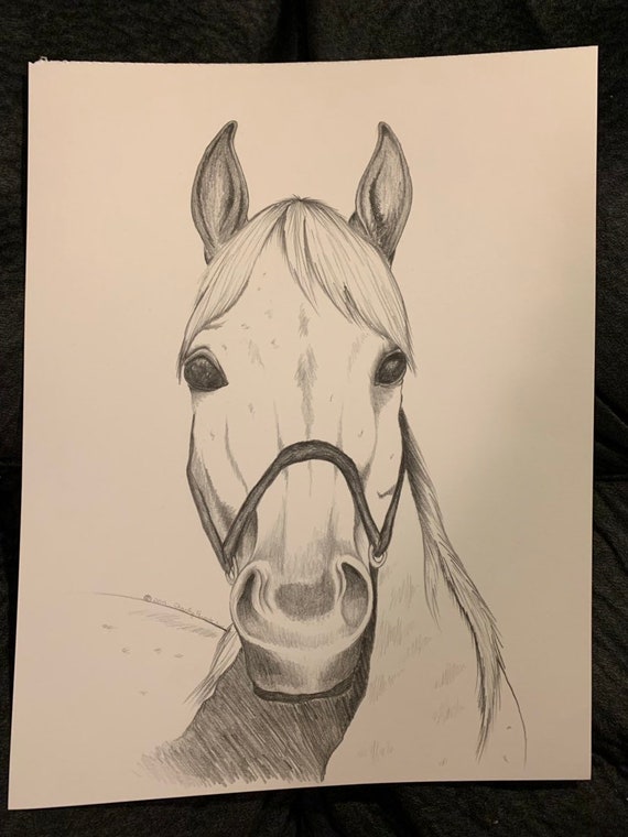 Horsehead Drawing Creative Style