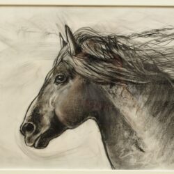 Horsehead Drawing Intricate Artwork