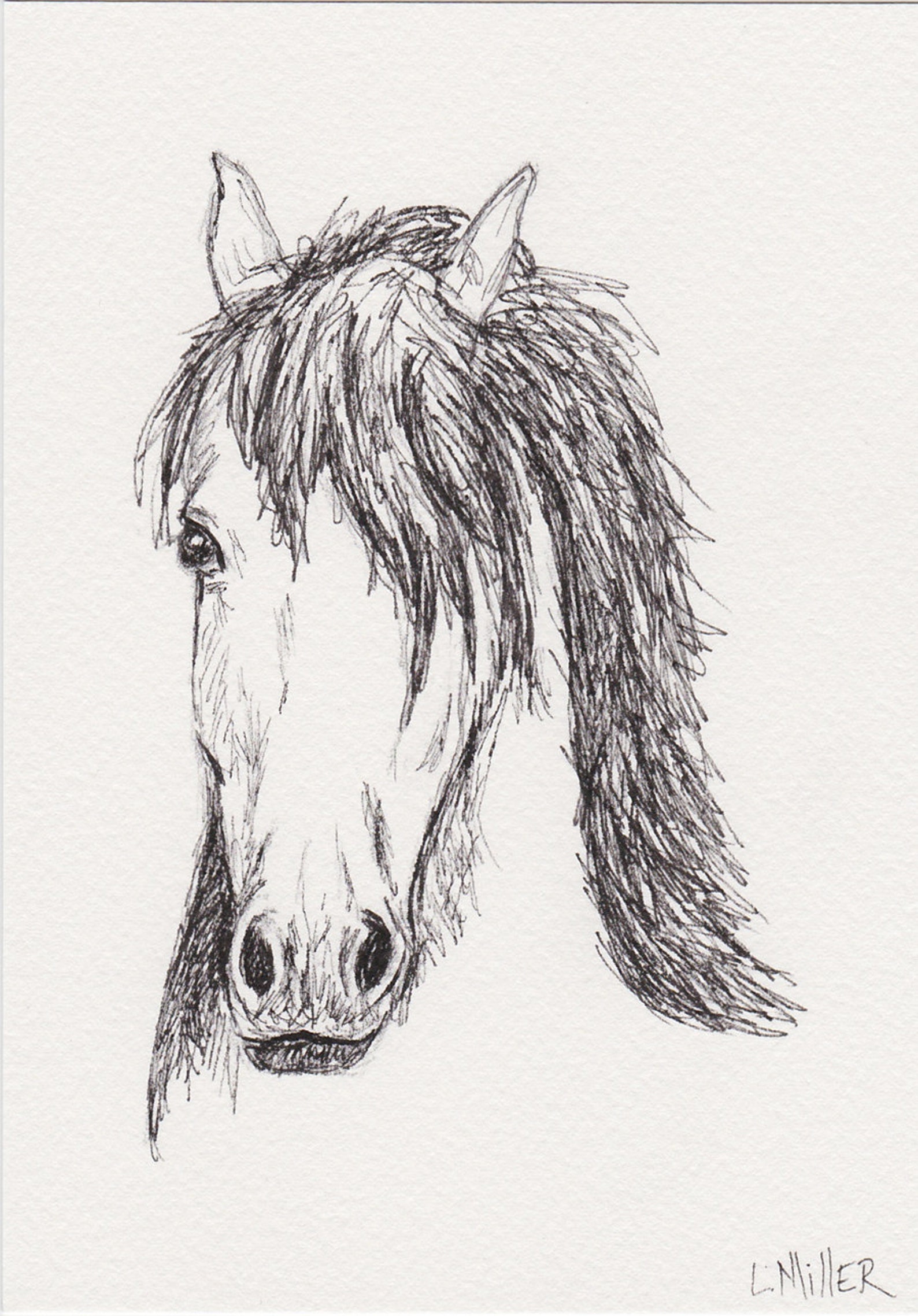 Horsehead Drawing Realistic Sketch