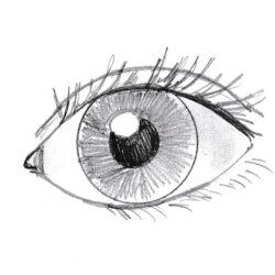 Human Eye Drawing