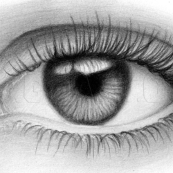 Human Eye Drawing Amazing Sketch