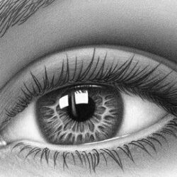 Human Eye Drawing Art