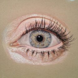 Human Eye Drawing Hand Drawn