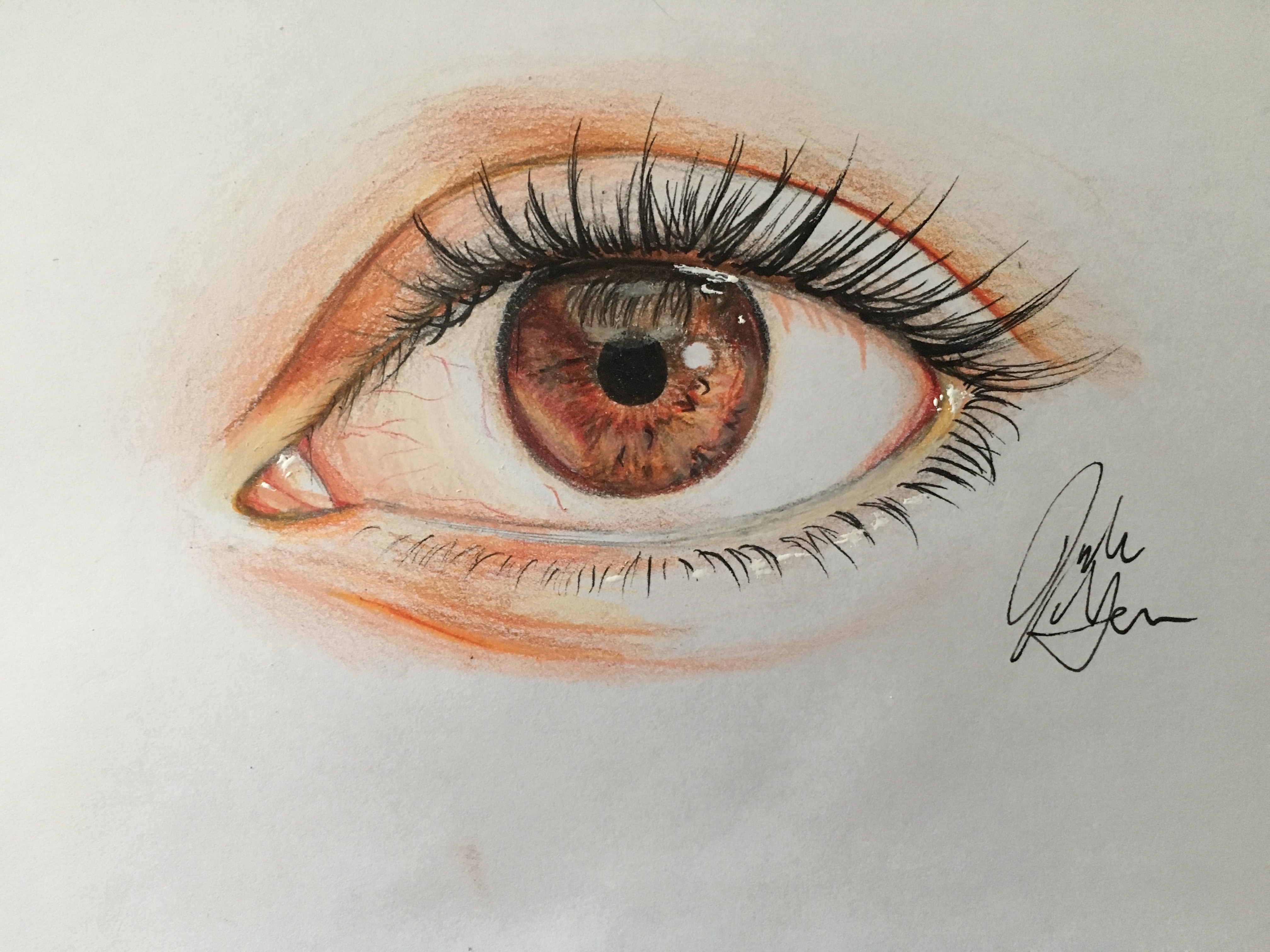 Human Eye Drawing Hand Drawn Sketch