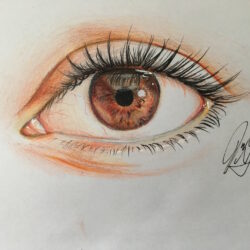 Human Eye Drawing Image