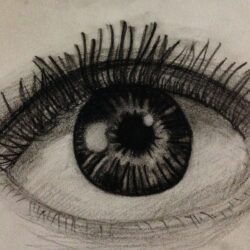 Human Eye Drawing Professional Artwork