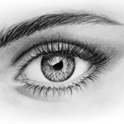 Human Eye Drawing Sketch