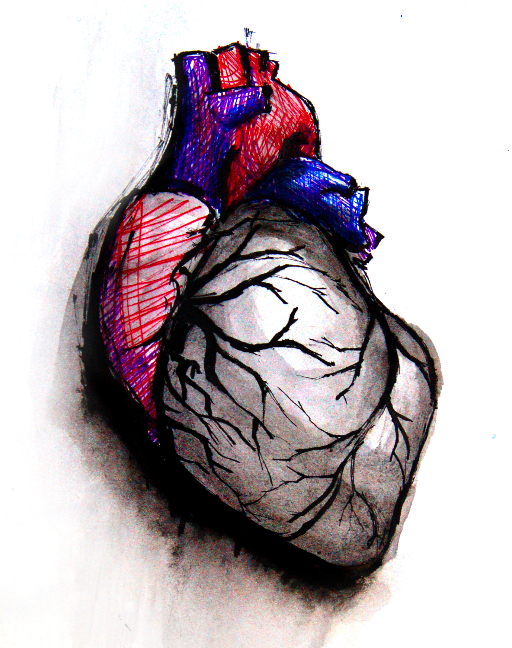 Human Heart Drawing Hand Drawn Sketch