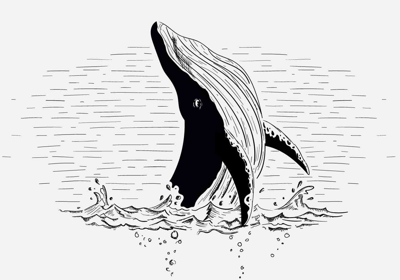 Humpback Whale Drawing Unique Art
