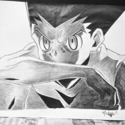 Hxh Drawing Art