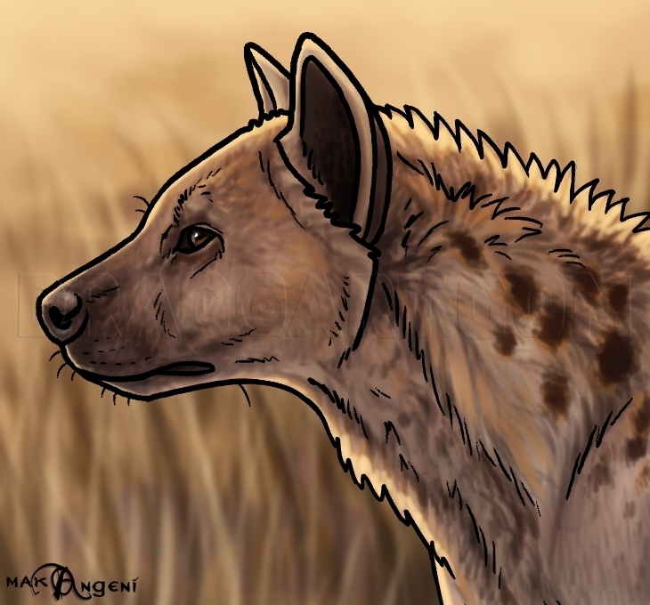 Hyena Drawing Amazing Sketch