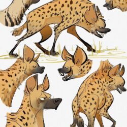 Hyena Drawing Art