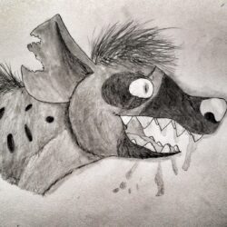 Hyena Drawing Artistic Sketching