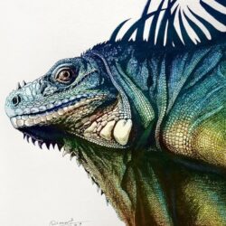 Iguana Drawing Intricate Artwork