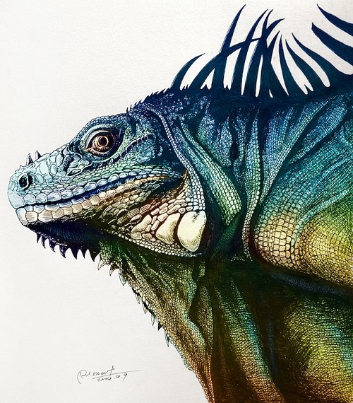 Iguana Drawing Intricate Artwork