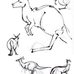 Kangaroo Drawing Intricate Artwork