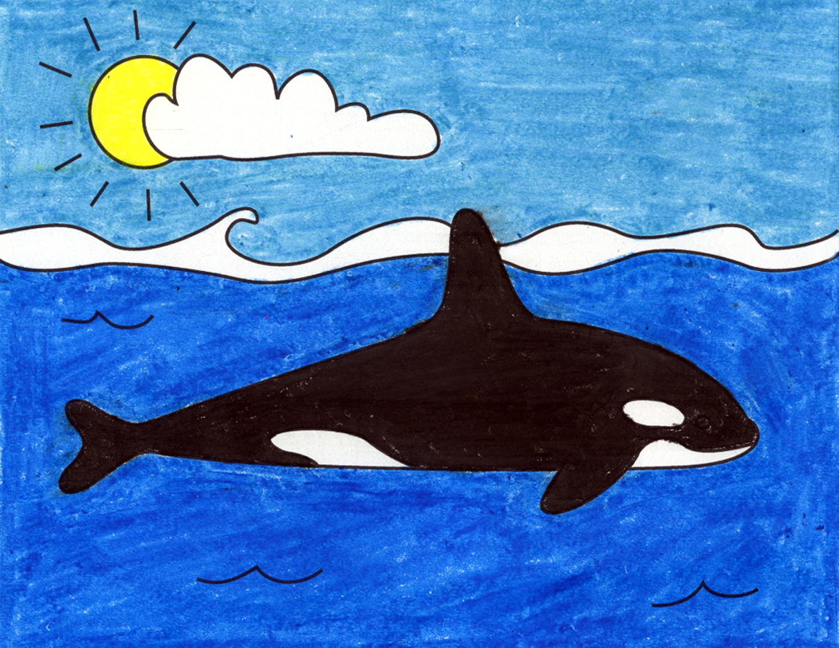 Killer Whale Drawing Image