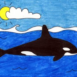 Killer Whale Drawing Intricate Artwork