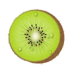 Kiwi Drawing Creative Style