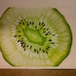 Kiwi Drawing Intricate Artwork