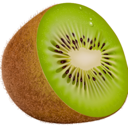 Kiwi Drawing Realistic Sketch