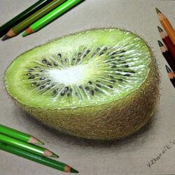 Kiwi Drawing Stunning Sketch