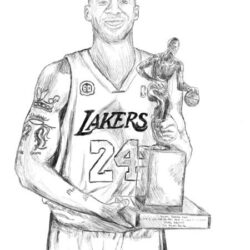 Kobe Drawing Professional Artwork