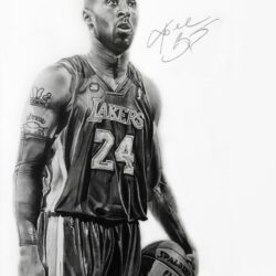 Kobe Drawing Stunning Sketch