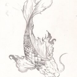 Koi Drawing Artistic Sketching