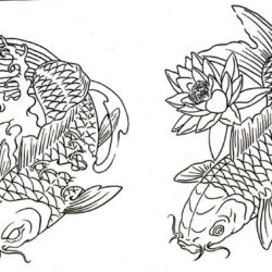 Koi Drawing Creative Style