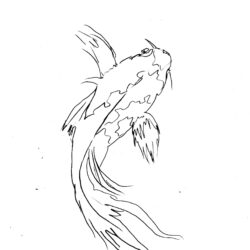 Koi Drawing Modern Sketch