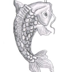 Koi Drawing Unique Art