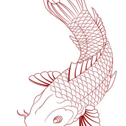 Koi Fish Drawing Amazing Sketch