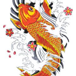 Koi Fish Drawing Art