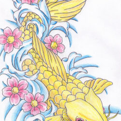 Koi Fish Drawing Creative Style