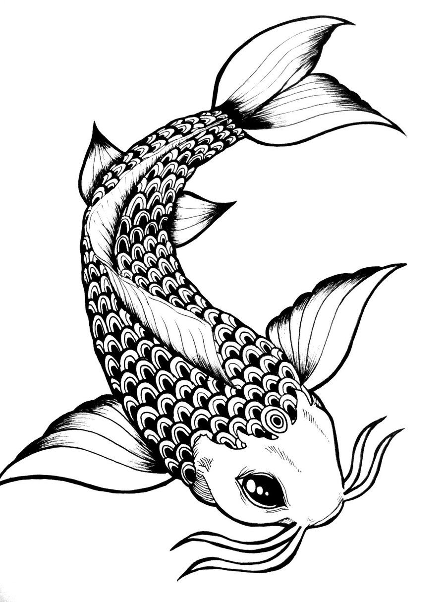 Koi Fish Drawing Detailed Sketch