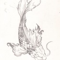 Koi Fish Drawing Sketch