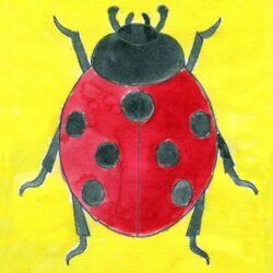 Ladybug Drawing Detailed Sketch