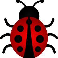 Ladybug Drawing Fine Art