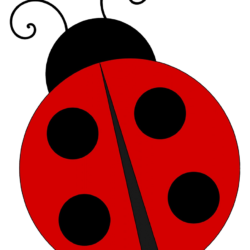 Ladybug Drawing Modern Sketch