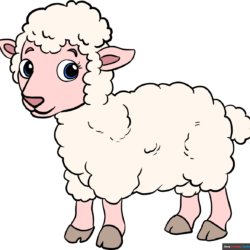 Lamb Drawing Art