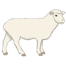 Lamb Drawing Creative Style