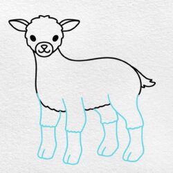 Lamb Drawing Hand drawn Sketch