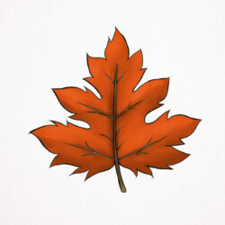 Leaves Drawing