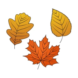 Leaves Drawing Art